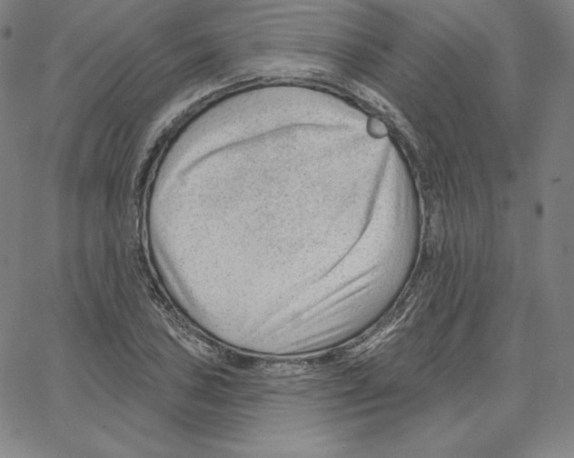 X0000062611027200601181624