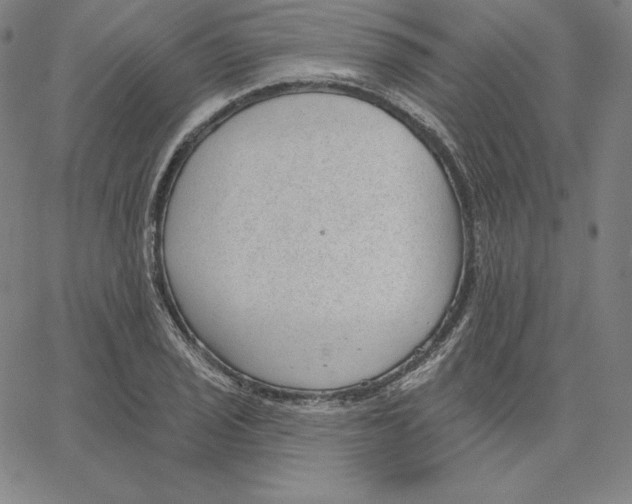 X0000062611029200601181624