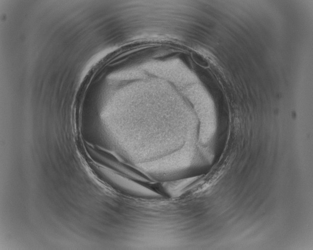 X0000062611030200601181624