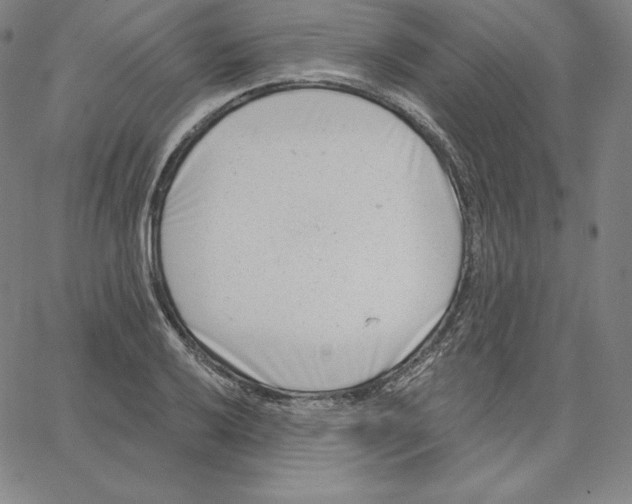 X0000062611032200601181624