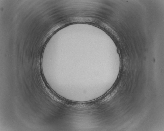 X0000062611033200601181624