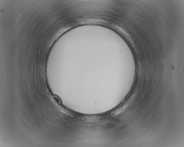 X0000062611041200601181624