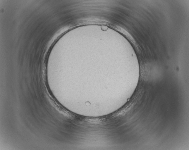 X0000062611043200601181624