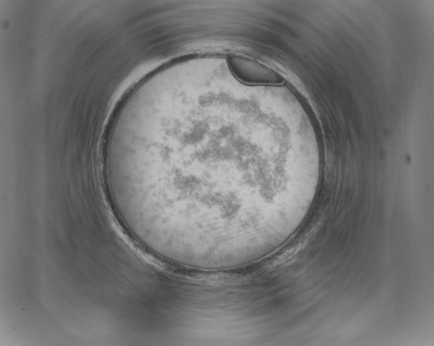 X0000062611045200601181624