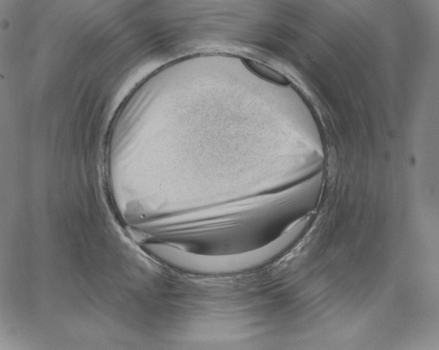 X0000062611048200601181624