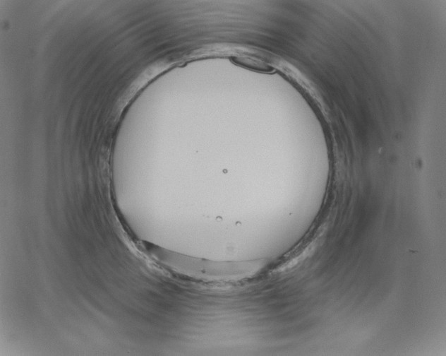 X0000062611049200601181624