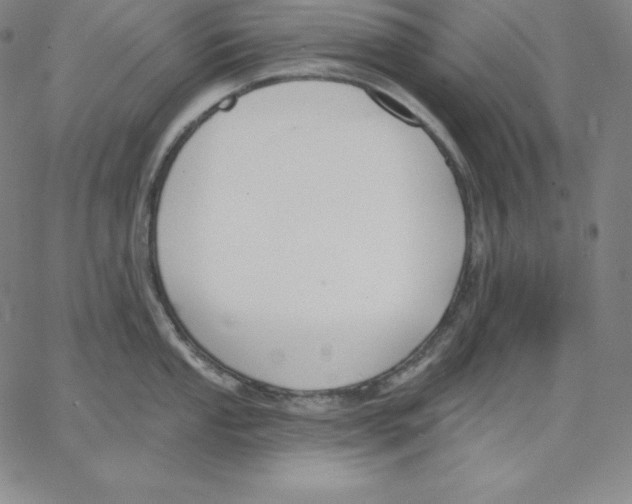 X0000062611053200601181624