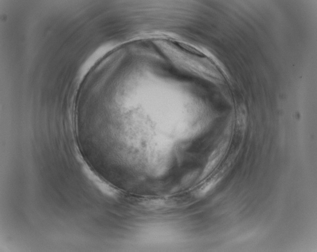 X0000062611054200601181624