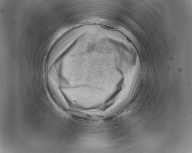 X0000062611055200601181624