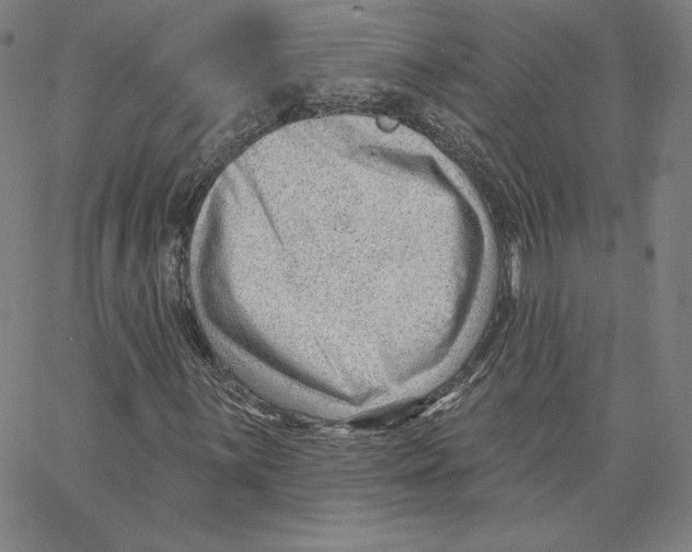 X0000062611059200601181624