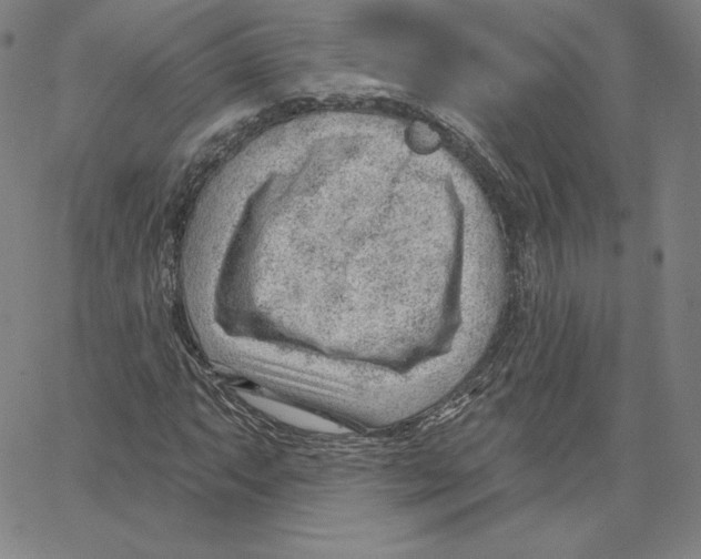 X0000062611063200601181624