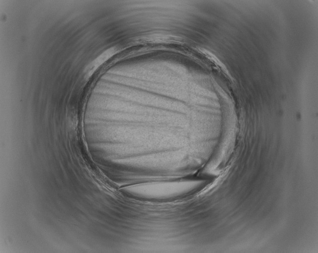 X0000062611065200601181624