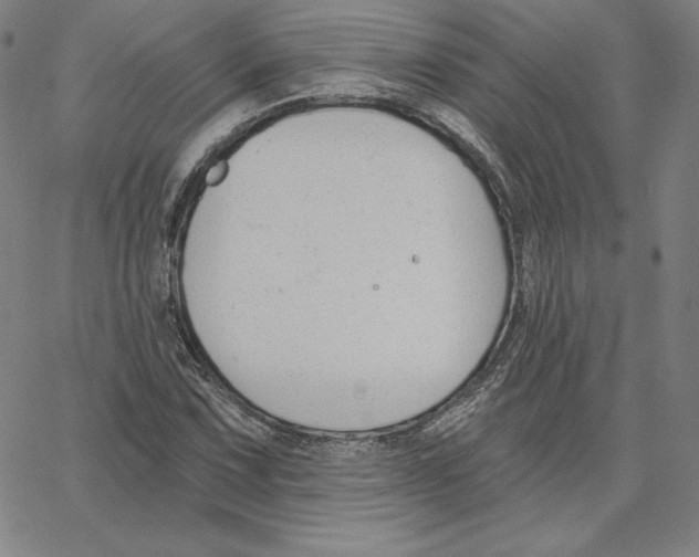 X0000062611067200601181624