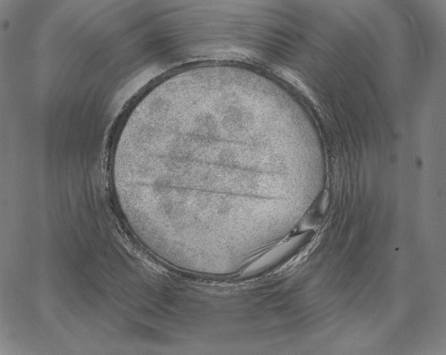 X0000062611071200601181624