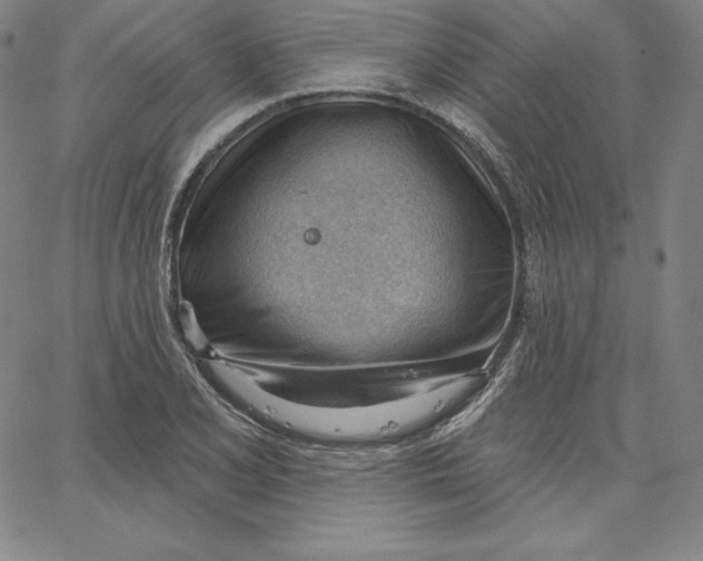 X0000062611077200601181623