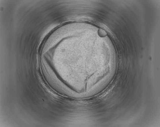 X0000062611079200601181623