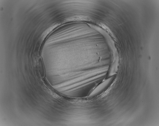 X0000062611081200601181623