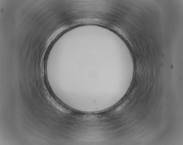 X0000062611082200601181623