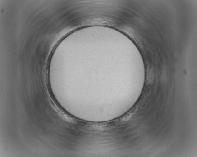 X0000062611086200601181623