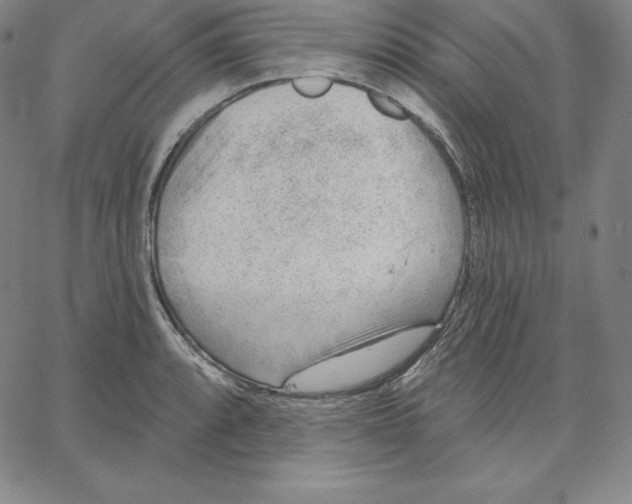 X0000062611088200601181623