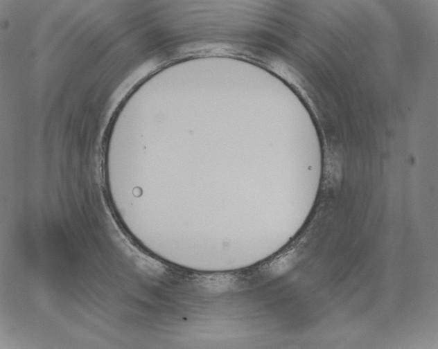 X0000062611090200601181623