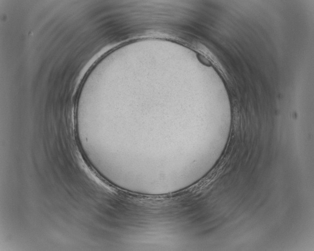 X0000062611092200601181623