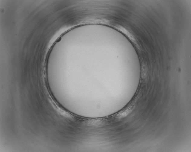 X0000062611094200601181623