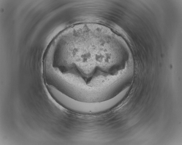 X0000062611095200601181623