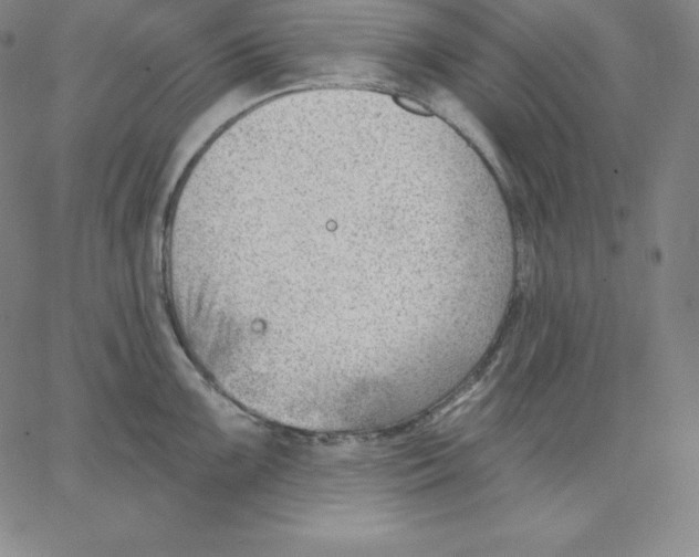 X0000062611099200601181623