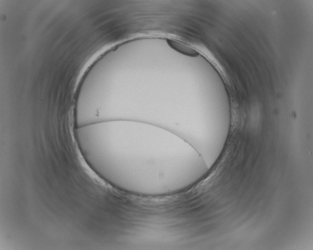 X0000062611100200601181623