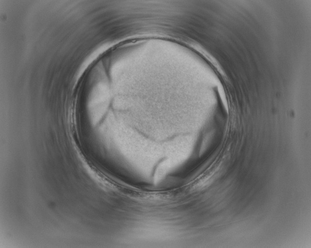 X0000062611101200601181623