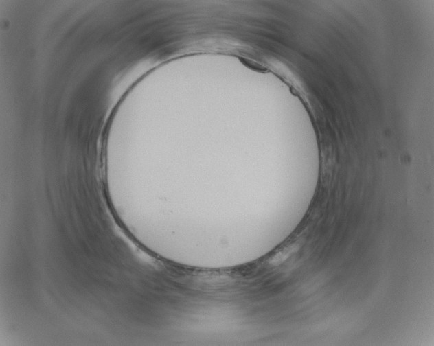 X0000062611103200601181623