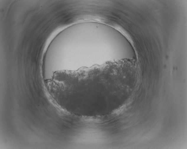 X0000062611104200601181623