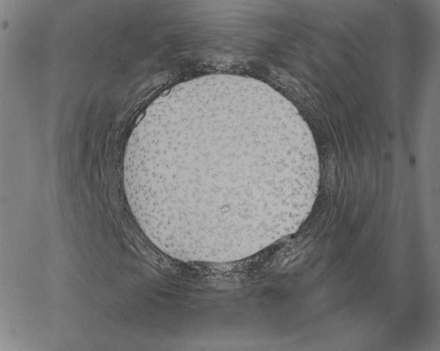 X0000062611105200601181622