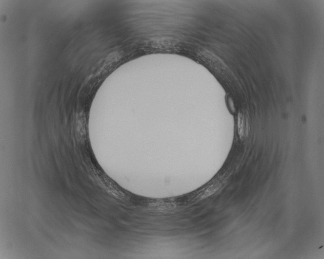 X0000062611107200601181622