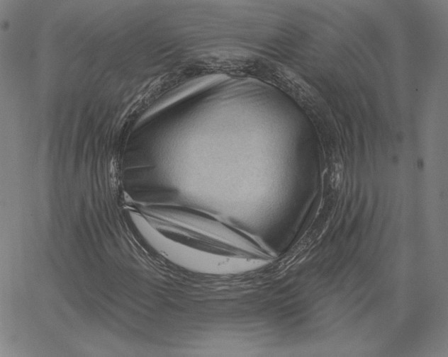 X0000062611108200601181622