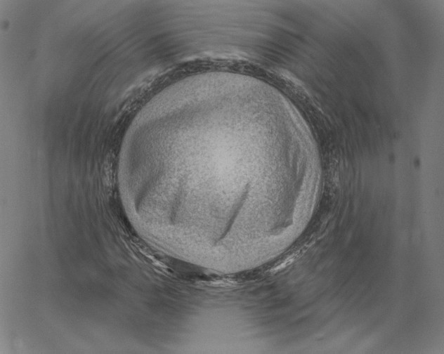 X0000062611110200601181622