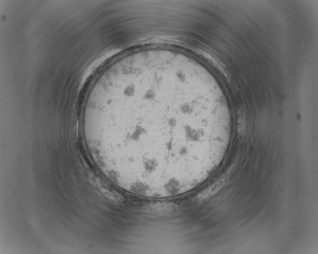 X0000062611117200601181622