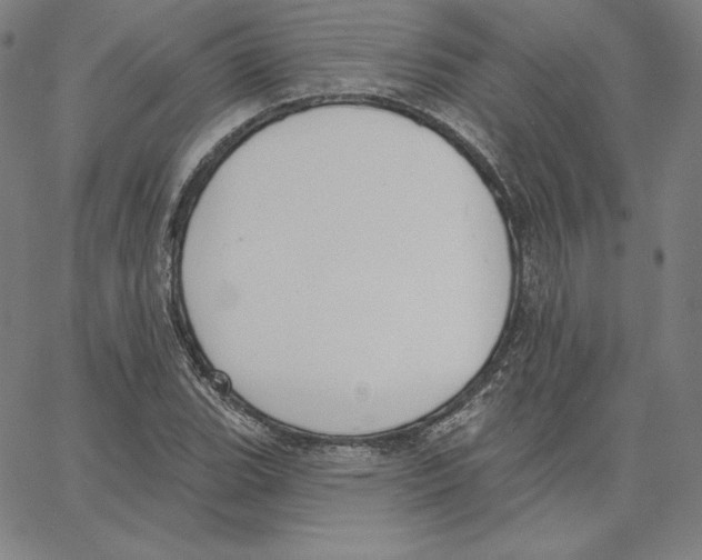 X0000062611119200601181622