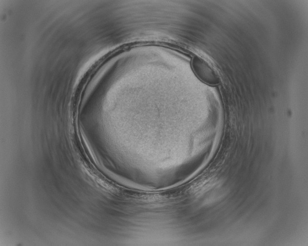 X0000062611120200601181622