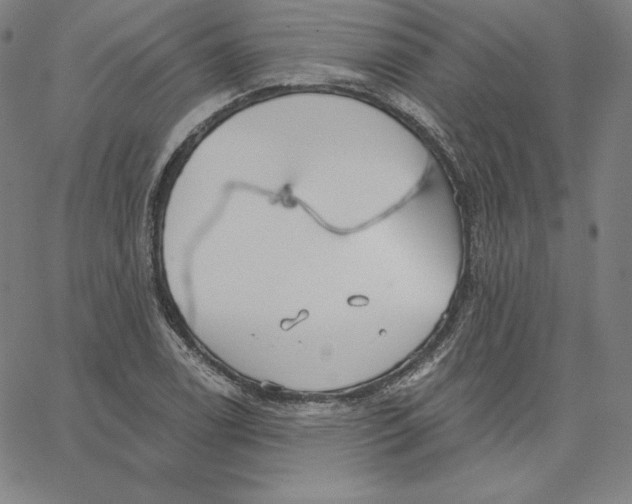 X0000062611122200601181622