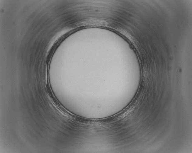 X0000062611123200601181622