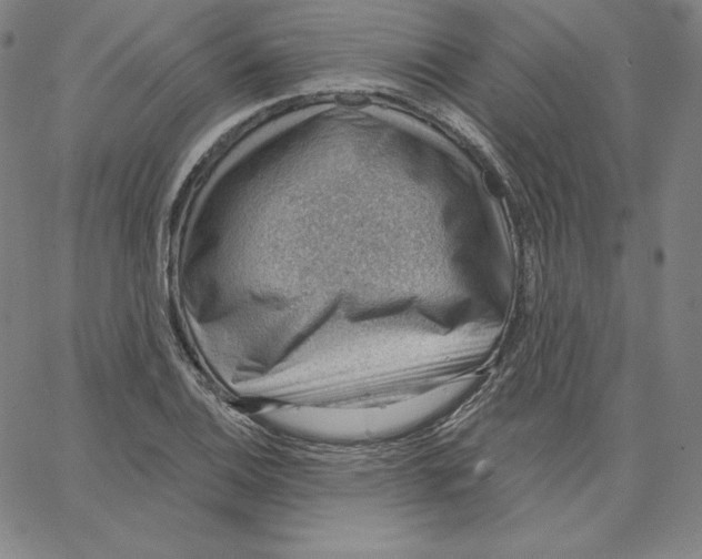 X0000062611124200601181622