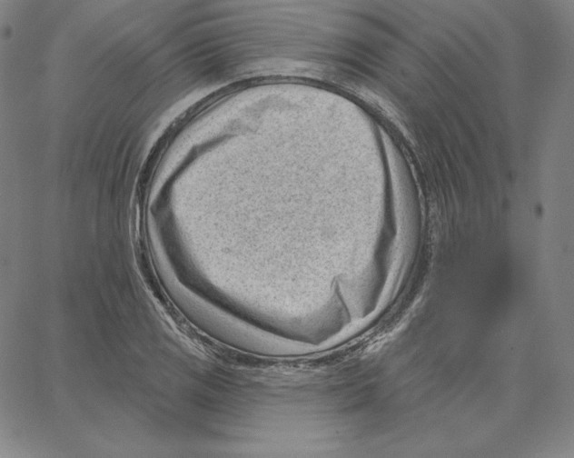 X0000062611125200601181623