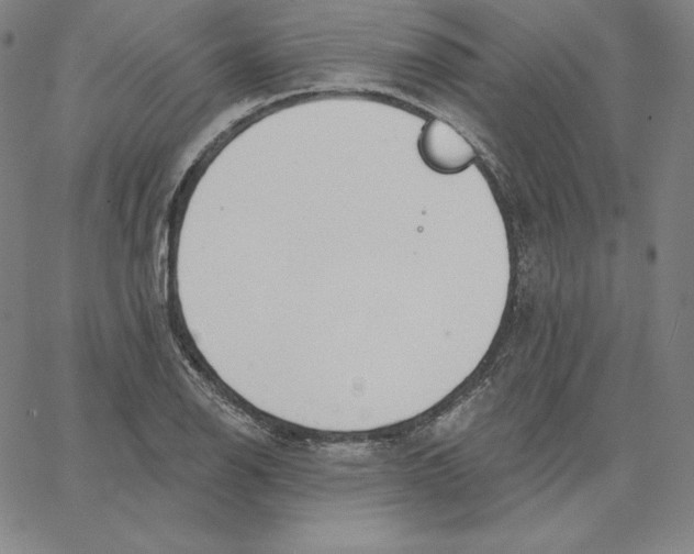 X0000062611126200601181623