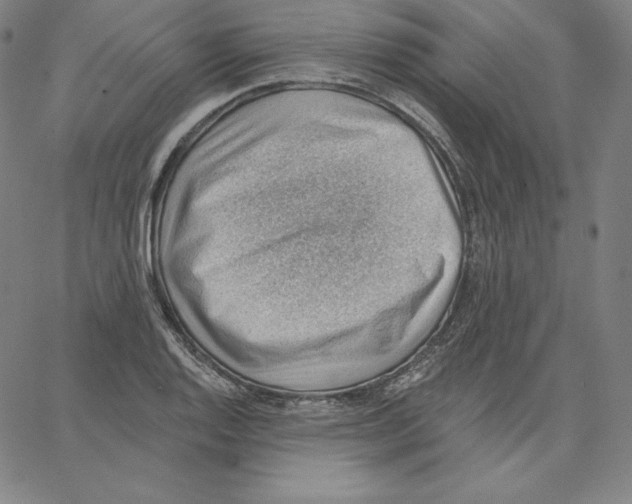 X0000062611128200601181623