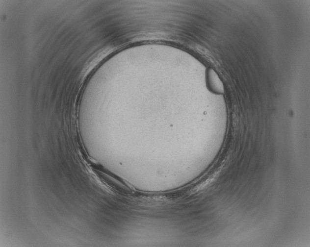 X0000062611129200601181623