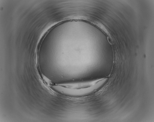 X0000062611132200601181623