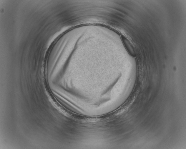 X0000062611134200601181623