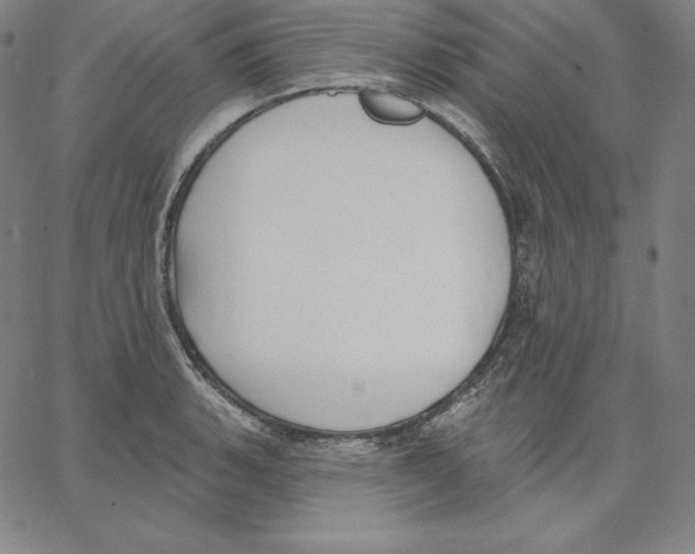 X0000062611135200601181623